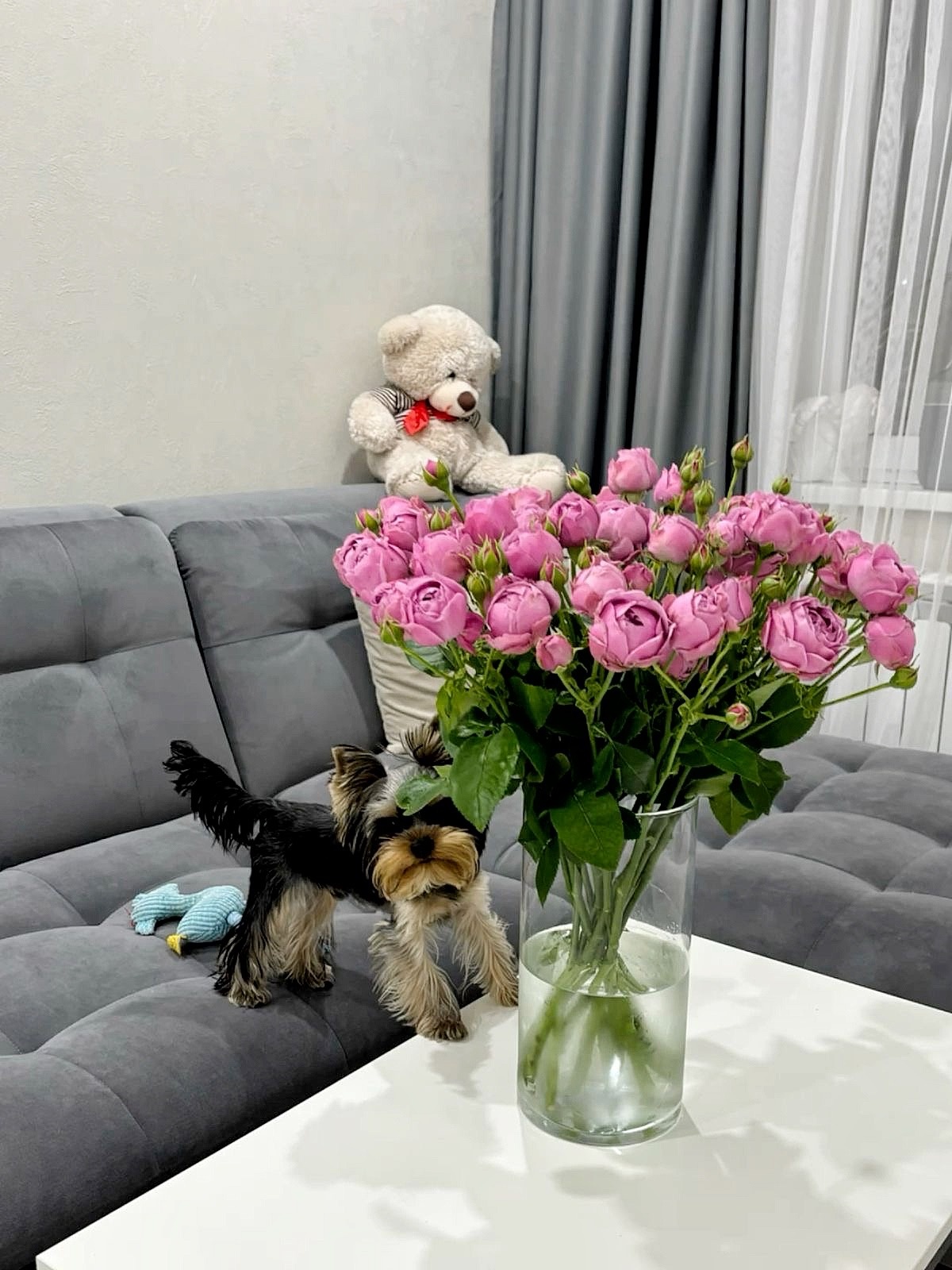 Валенсия с оттоманкой